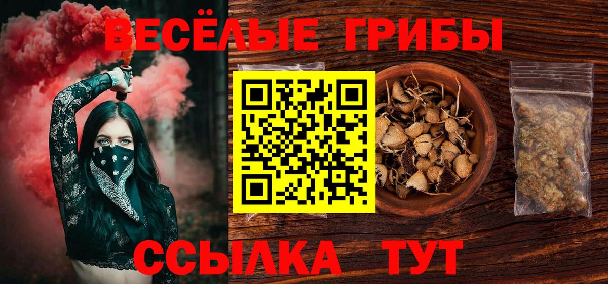 Псилоцибиновые грибы Минусинск